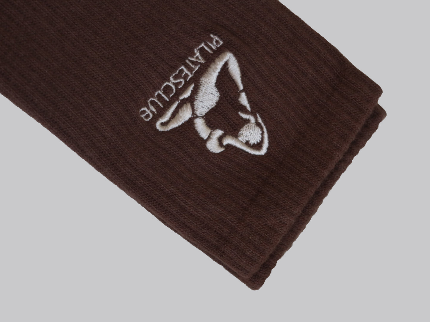Pilates club socks